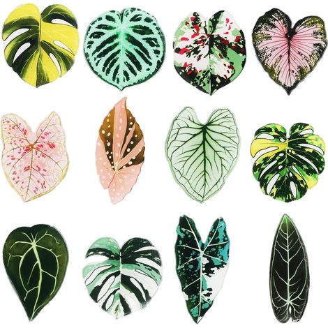 12pcs Aimants Réfrigérateur en Forme Feuille, Aimants Décoratifs à Thème Végétal pour Cuisine Bureau Casier École Décoration Maison Idée Cadeau Amusante pour Amoureux Plantes Pendaison