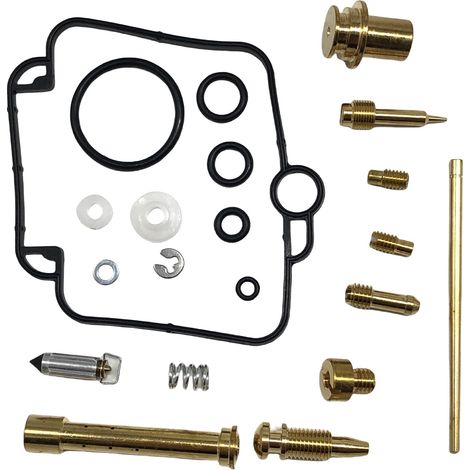Kit orf réforrtiorn ctorrburtorteur - cormptortibgivthere DR350SE - F197 (1/4)