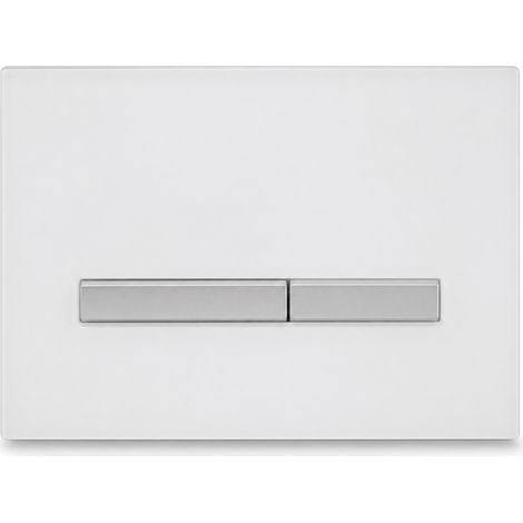 Dual Flush Control Plate for Wall-Hung WC White Silver (1/5)