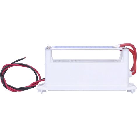 Générateur d'Ozone 5G 220V pour Purification d'Air Industriel et Assainissement (1/5)