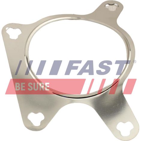 Guarnizione valvola EGR rapida FT50613 (1/2)
