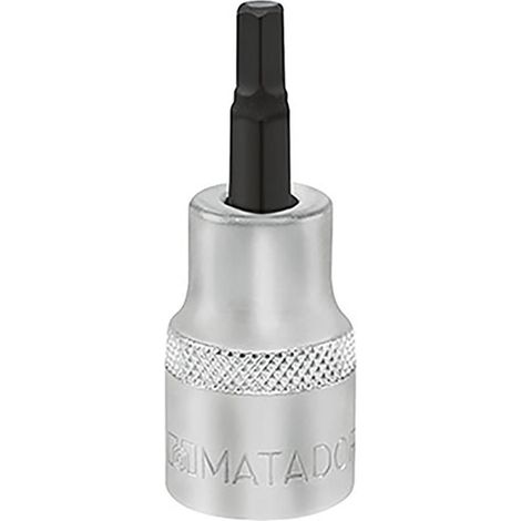 Schraubendreher-Einsatz, 6-kt., 12,5 mm (1/2"): 19 m (1/4)