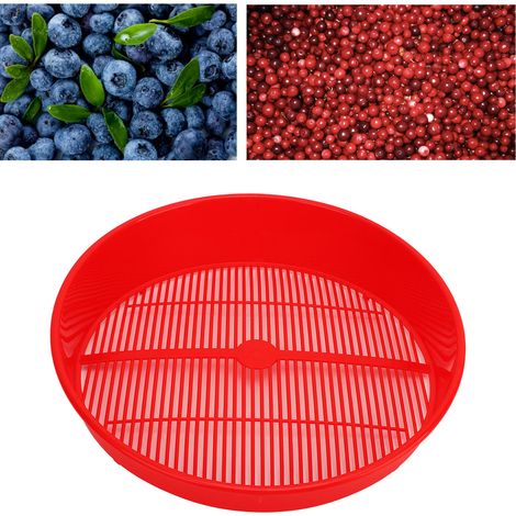 Nettoyeur de myrtilles, passoire en plastique pour myrtilles, nettoyeur de fruits rouges, bac à laver, outils de jardinage (1/5)