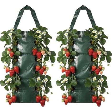 Erdbeerpflanzbeutel, 2-teiliges Hänge-Erdbeer-Anbauset mit 8 Löchern, Erdbeerturm, Vertikaler Garten für Gemüse und Blumen, 70 × 60 × 25 cm, PE - (1/5)