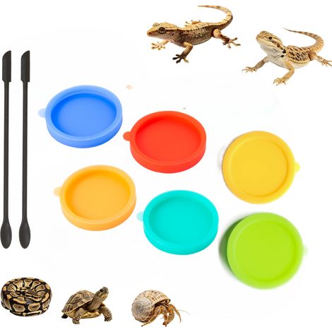 Lot de 6 Gamelles Reptiles Silicone, Terrarium, Nourriture et Eau, Lézard et Tortue, Plat, Antidéversement,... (1/5)