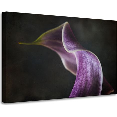 Stampa su tela Fiore petalo viola 90x60 cm