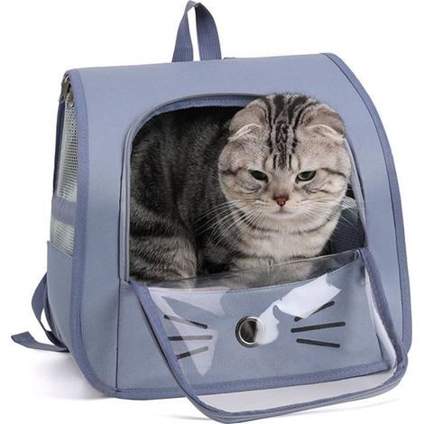 Breathable Mesh Pet Carrier for Small Cats & Dogs - Blue