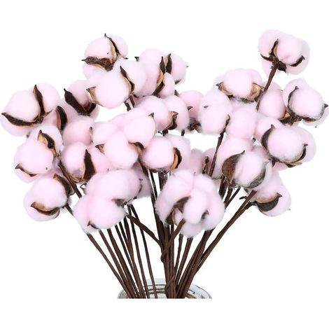 Tiges De Coton Séchées - 30 Pièces - Décoration Intérieure Et Extérieure - Style Champêtre - Pour Bouquets Guirlandes Et Couronnes (1/5)