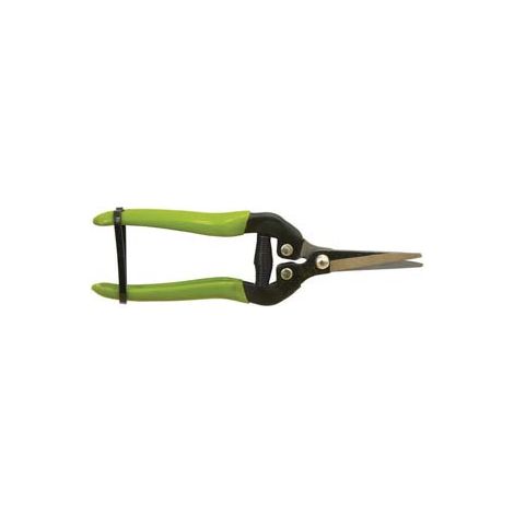 Forbice Raccolta 19 cm Il Campo 12 Pezzi