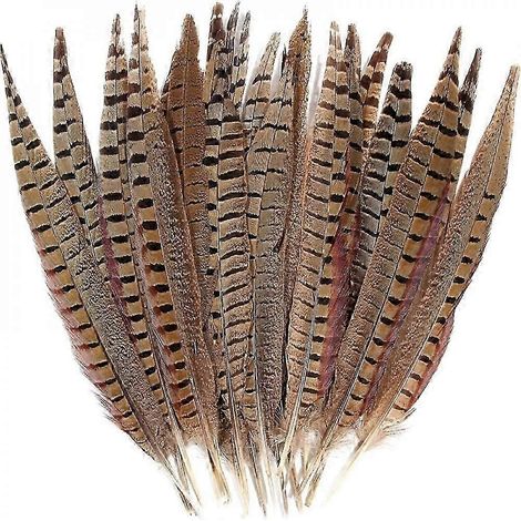 10 plumes de queue de faisan naturelles pour la création de bijoux et de centres de table de mariage (1/4)