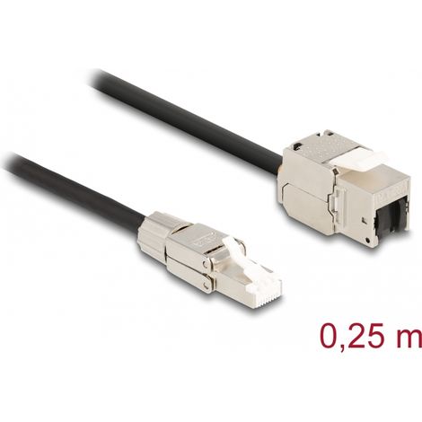 Delock Cable RJ45 macho montaje en campo a MÃ³dulo Keystone RJ45 hembra Cat.6A de 25 cm