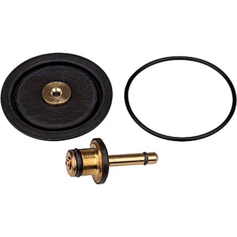 Riegler Verschleißteilesatz inkl. Membrane, Ventilkegel und O-Ring 50x2 (1/2)