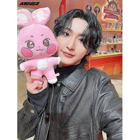 1/8 pièces ATEEZ Aniteez Kawaii Peluche Animal en Peluche Cadeau Coréen pour Décoration de Chambre (environ 25 cm Couleur A2) (1/5)