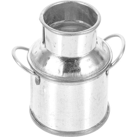 Pot de cactus idéal pour l'intérieur, avec motif chat (1/5)
