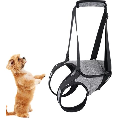Faisceau de levage pour chien - Sangle de soutien réglable pour chien, design confortable - Harnais de soutien à la mobilité léger et facile - Ceinture de soutien des jambes - Aide à la rééducation (1/5)