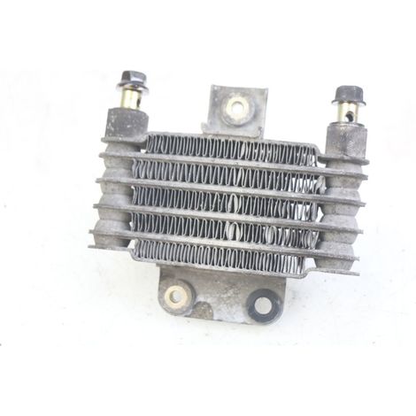 [PRODUIT D'OCCASION] RADIATEUR HUILE DAELIM VL DAYSTAR 125 2000 - 2011 (1/5)