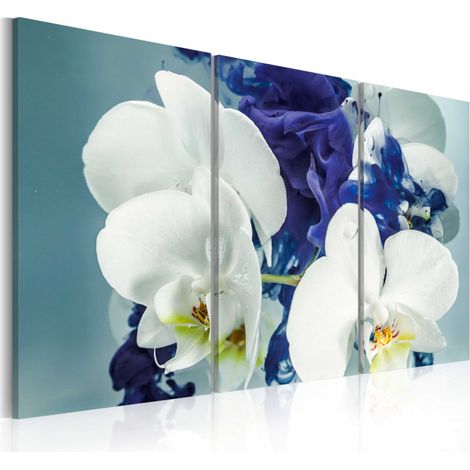 Tableau Imprimé "Orchidées Chimériques" 40 x 60 cm (1/2)