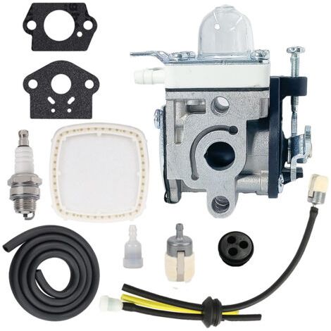 Carburetor for Echo PB-2520 leaf blower A021004700 00723 RE-110147B---BIEMMEDUE (1/4)