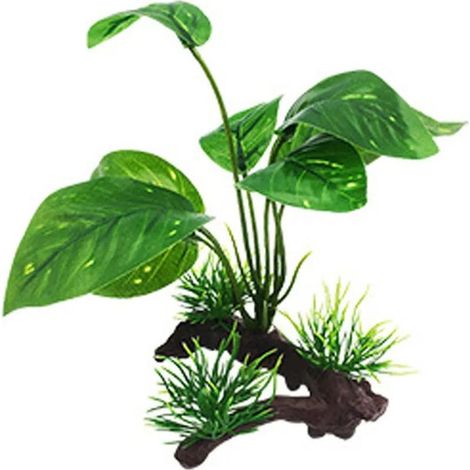 Aménagement aquarium – Bois de sarrasin vert immergé – Plantes aquatiques décoratives (1/5)