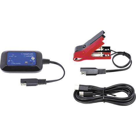 BAAS BA101 Caricatore 12 V (1/2)
