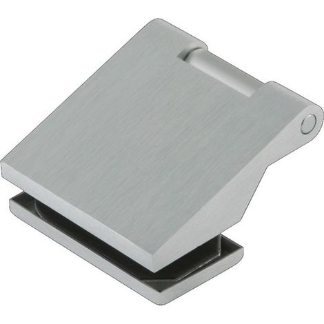 Cerniera per porte in vetro OFFICE Classic LM anodizzata argento 80kg per 3 parti DORMAKABA (Per 2)
