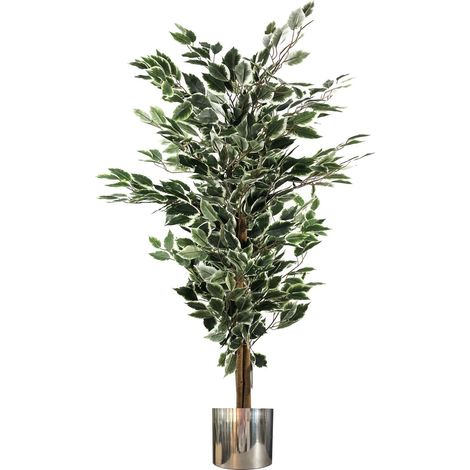 130cm Variegated White/Green Bushy Ficus Tree Silver Metal Planter (1/4)