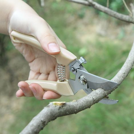 2-teilige Gartenschere aus Edelstahl mit Bypass- und gebogener Klinge, Beige, 17,5 cm, mit ergonomischem Verriegelungsmechanismus für geraden Schnitt und Obstbaumschnitt (1/5)
