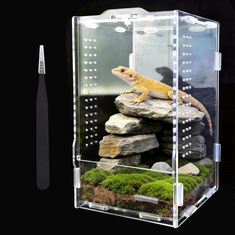 Acryl-Terrarium, 20x12x12cm, transparent, mit Klapptür, Belüftung, für Reptilien und Insekten (1/5)