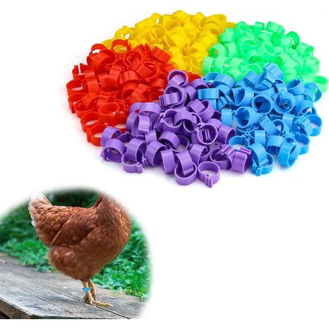 250 Anneaux De Patte, 16mm Bague Pour Volaille, PP Robuste, 5 Couleurs, Pour Poules Canards Oies (1/5)