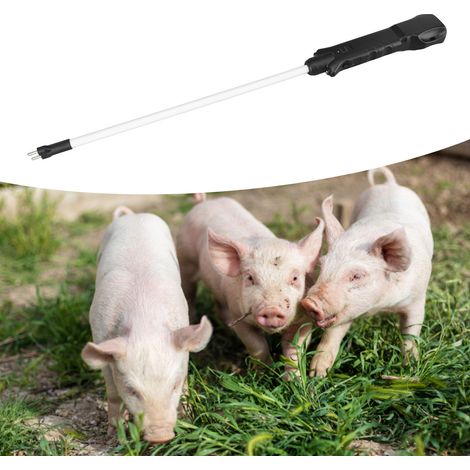 [Producto eléctrico para animales] Dispositivo eléctrico recargable e impermeable de 9 kV para ganado vacuno, porcino y caprino. Enchufe británico (100-240 V) con mango ergonómico y contactos de acero (1/5)