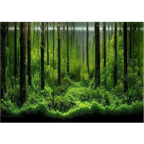 PVC adhésif sous-marin forêt réservoir fond affiche toile de fond décoration papier (6141cm) (1/5)