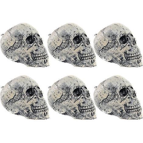 Lot de 6 crânes d'Halloween pour décorations d'Halloween (1/3)