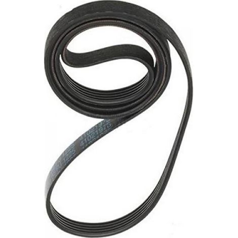 Courroie De Remplacement Pour Machine À Laver - Compatible Hoover Candy - Référence 41039460 - Blanc ×1