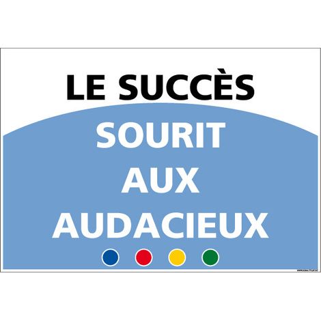 SIGNALETIQUE DE MOTIVATION - LE SUCCES (D1005) - Adhésif - 300 x 210 mm
