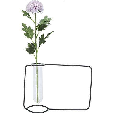 Innovative Hanging Planter, Test Tube, Transparent Vases for Hydroponic Plants, for Home and Indoor Use, Black (1/5)