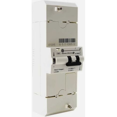 General Electric – Disjoncteur différentiel 2P 30-45-60A 500mA – 585020 – Tension 250V – Sélectif pour installations électriques - EDF 2 P