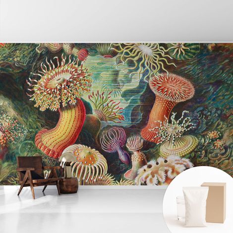 Papier peint intissé pour salon chambre à coucher peint imprimé pour mur - Colle incluse gratuite Anémones fantaisistes 416x254 cm (1/5)
