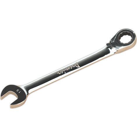 Sealey Premier Reversible Combination Ratchet Spanner 19mm RRCW19