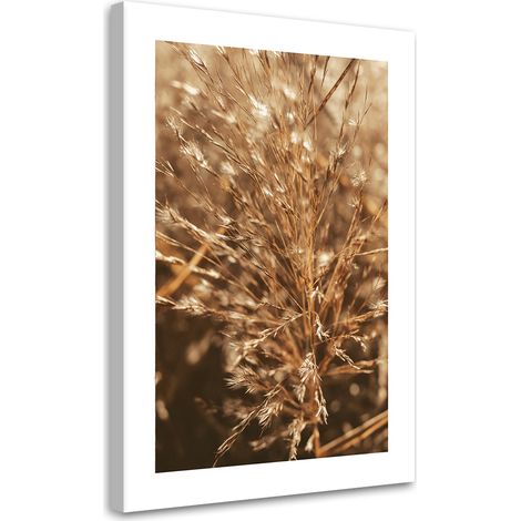 Tableau sur toile Herbe beige 40x60 (1/5)