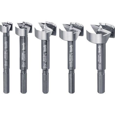 Set di velocità per foratrice per forstner batteria, setf in 5 pezzi. Di legno (1/4)