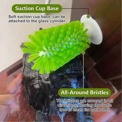 Brosse de nettoyage pour aquarium à tortues, outil de nettoyage à ventouse, accessoire de décoration pour l'entretien de la carapace et l'alimentation des tortues (1/4)