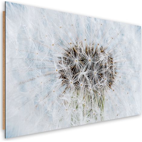 Quadro deco panel, Dandelion di fiori bianchi - 60x40 (1/5)
