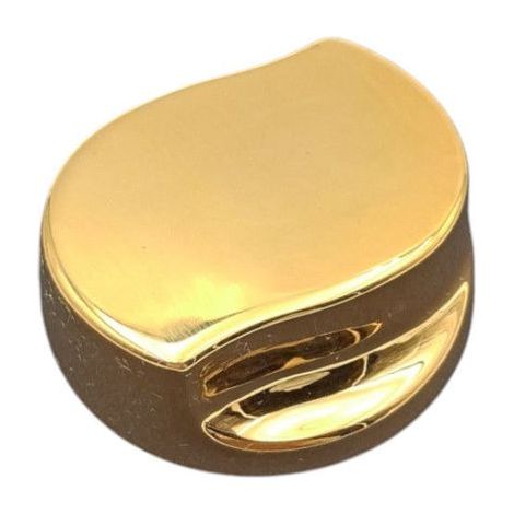 Ricambio manopola aria oro per vasca Jacuzzi 23327001 (1/2)