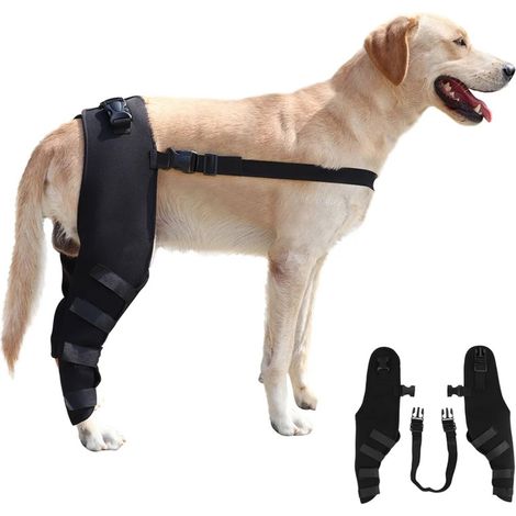 Attelle arrière pour chien, protection articulaire réglable (1/5)