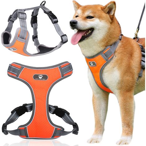 Pettorina da addestramento Astro arancione per cani da passeggio, taglia L (1/5)