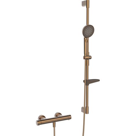 Hansa 4813043181 Robinet de douche avec ensemble de douche, 3 jets
