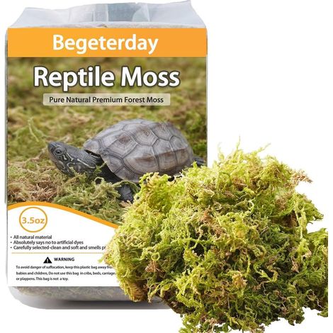 Titre : Mousse Naturelle pour Reptiles 100g Forest Moss Lit de Mousse pour Terrarium Vivarium Tortues Lézards Amphibiens (1/5)
