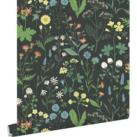 papier peint fleurs des champs multicolore sur noir - ESTAhome