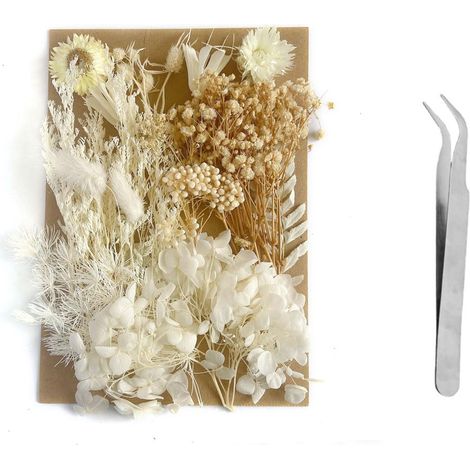 Fleurs Sechees Naturelles avec Pince, Gypsophile Seche pour Decoration (1/5)