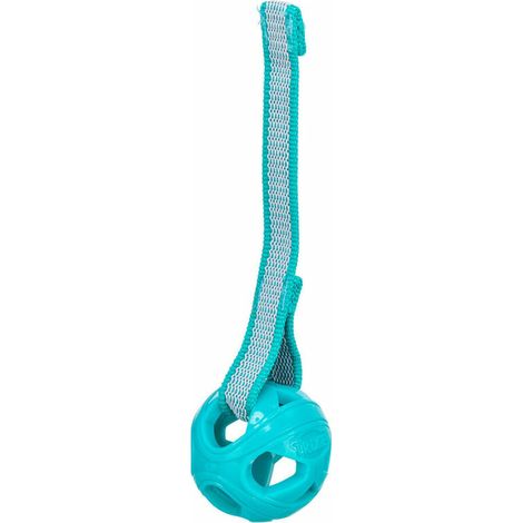 Giocattoli per cani Trixie Turchese ø 6 x 23 cm Sfera (1/5)